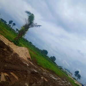 WhatsApp Image 2025-07-06 at 10.33.15 AM