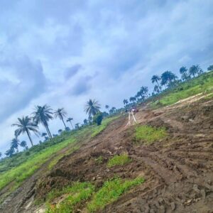 WhatsApp Image 2025-07-06 at 10.33.16 AM